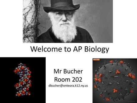 Mr Bucher Room 202 dbucher@onteora.k12.ny.us Welcome to AP Biology Mr Bucher Room 202 dbucher@onteora.k12.ny.us.