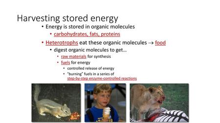 Harvesting stored energy