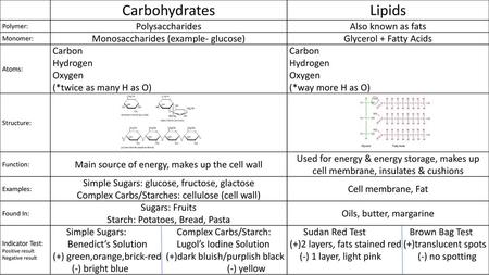 Carbohydrates Lipids Polysaccharides Also known as fats
