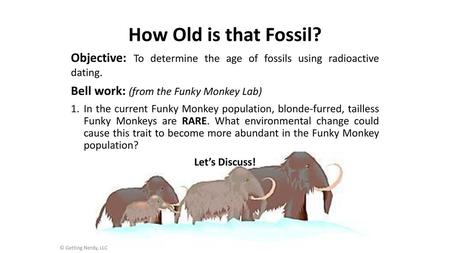 How Old is that Fossil? Objective: To determine the age of fossils using radioactive dating. Bell work: (from the Funky Monkey Lab) In the current Funky.