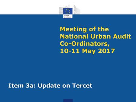 Meeting of the National Urban Audit Co-Ordinators, May 2017