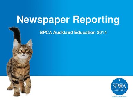 SPCA Auckland Education 2014