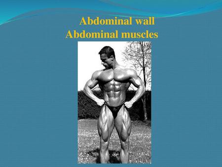 Abdominal wall Abdominal muscles.