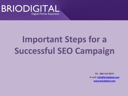 Important Steps for a Successful SEO Campaign