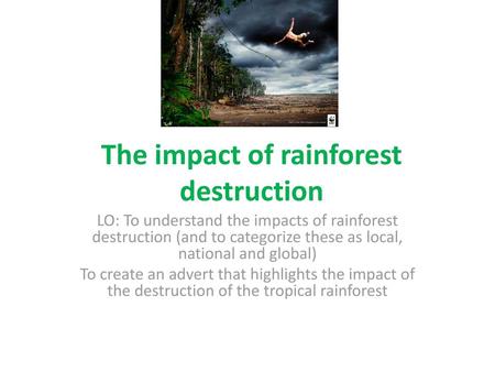 The impact of rainforest destruction