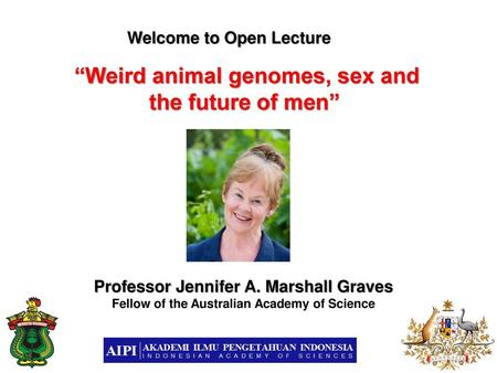 “Weird animal genomes, sex and the future of men”