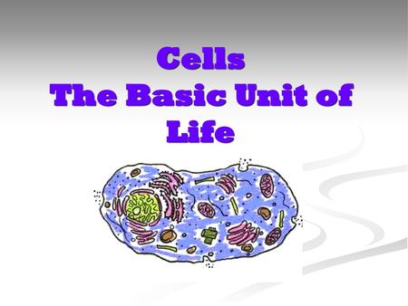 Cells The Basic Unit of Life