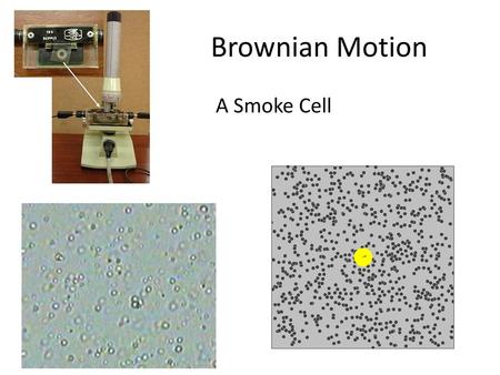 Brownian Motion A Smoke Cell.