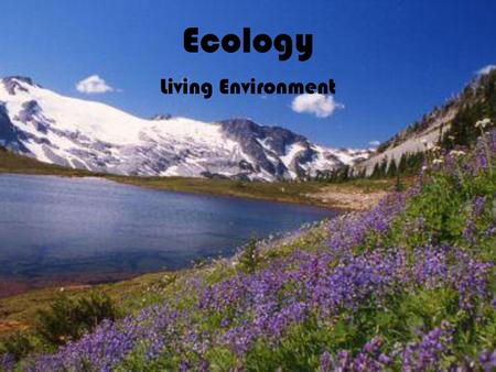 Ecology Living Environment.