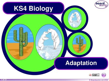 KS4 Biology Adaptation.