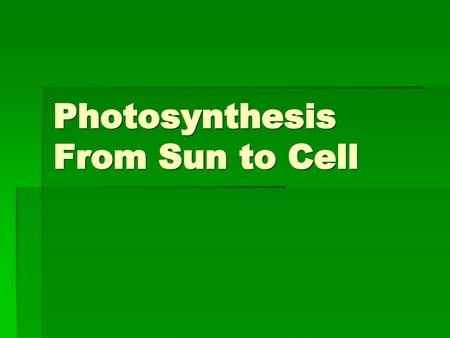 Photosynthesis From Sun to Cell