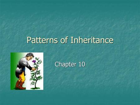 Patterns of Inheritance