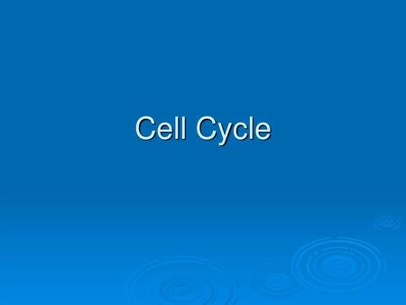 Cell Cycle.
