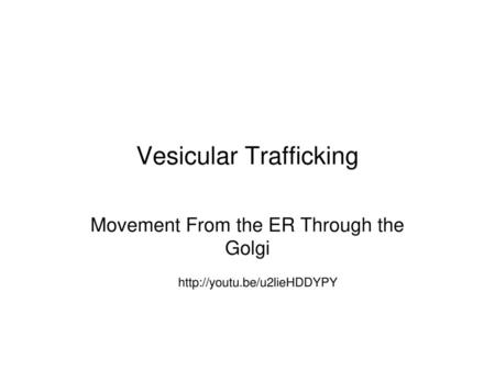 Vesicular Trafficking