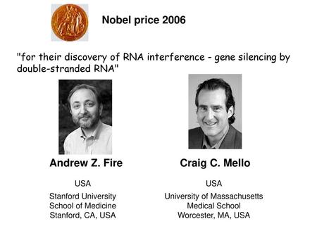 Nobel price 2006 Andrew Z. Fire Craig C. Mello