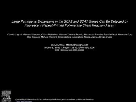 Large Pathogenic Expansions in the SCA2 and SCA7 Genes Can Be Detected by Fluorescent Repeat-Primed Polymerase Chain Reaction Assay  Claudia Cagnoli,