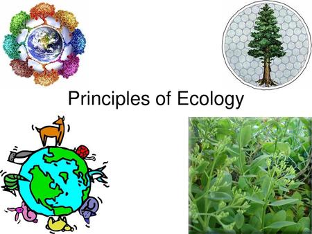 Principles of Ecology.