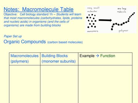 Notes: Macromolecule Table Objective: Cell biology standard 1h – Students will learn that most macromolecules (carbohydrates, lipids, proteins and nucleic.