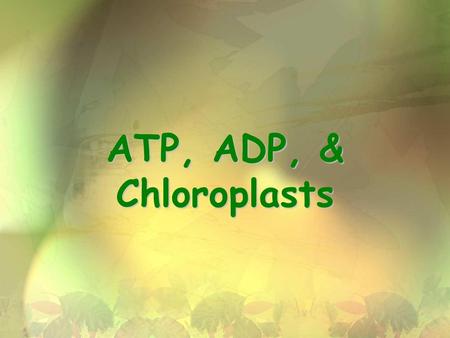 ATP, ADP, & Chloroplasts.