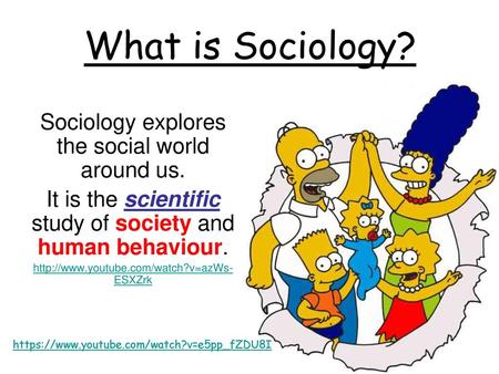 What is Sociology? Sociology explores the social world around us.