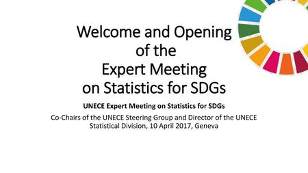Welcome and Opening of the Expert Meeting on Statistics for SDGs