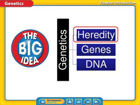 Genetics Heredity Genes DNA Chapter Introduction.