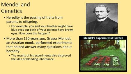 Mendel and Genetics Heredity is the passing of traits from parents to offspring. For example, you and your brother might have blue eyes but both of your.