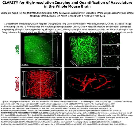 CLARITY for High-resolution Imaging and Quantification of Vasculature in the Whole Mouse Brain Zhang Lin-Yuan 1 ;Lin #cod#x0002A;Pan 2 ;Pan Jiaji 3 ;Ma.