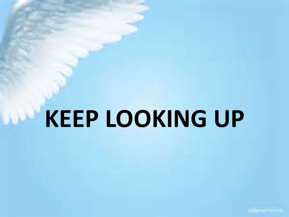 Keep Looking Up I To Be Set Apart From This World Requires Us To Have A Higher Focus Lifting Our Vision Ppt Download