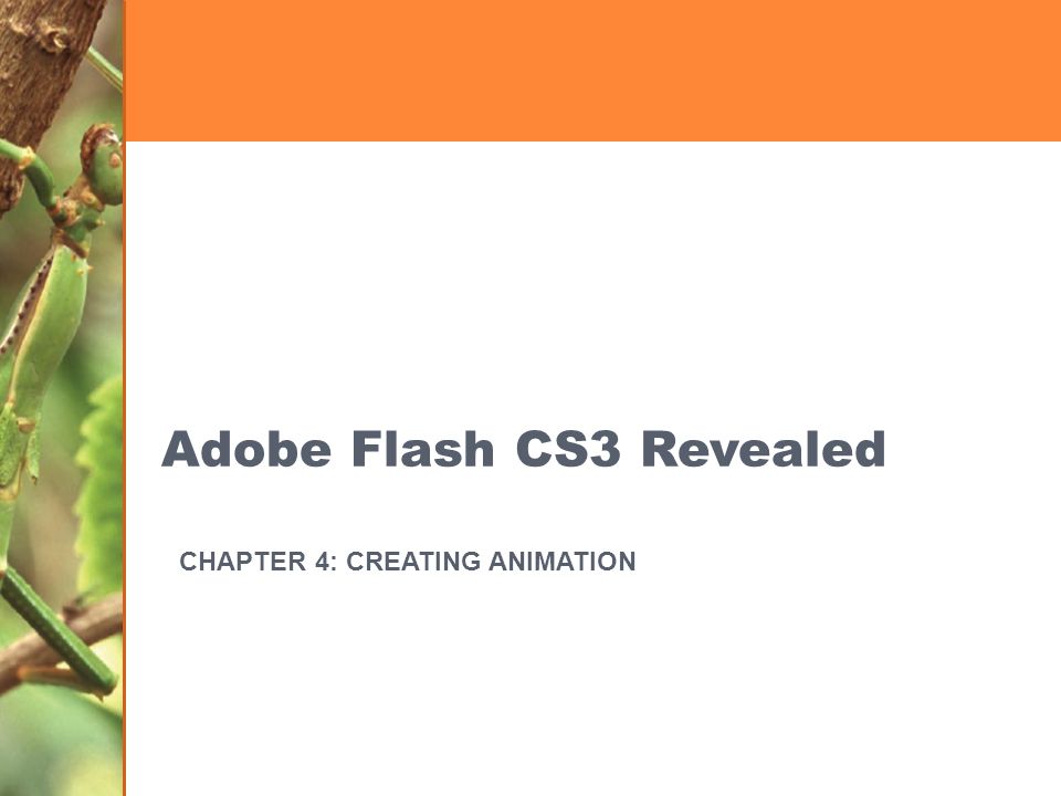 how to get adobe flash cs3 free how to get adobe flash cs3 free