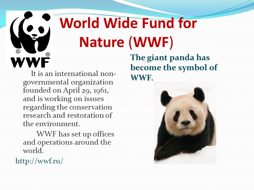 World Wide Fund for Nature (WWF) The giant panda has become the of It is an international non- governmental organization on April 29, - ppt download