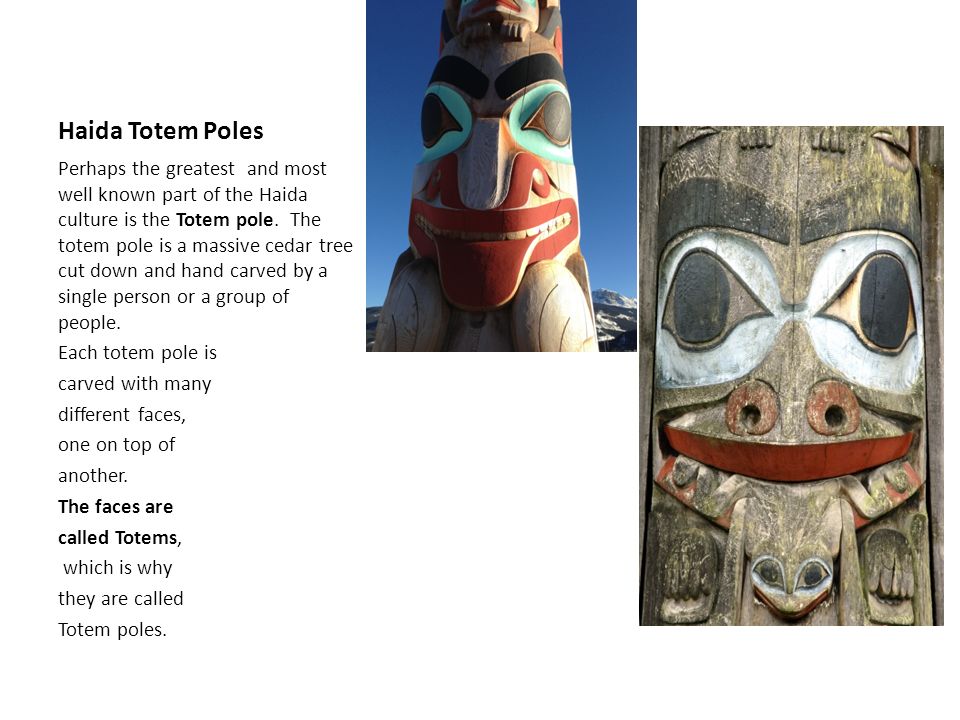 Haida Totem Poles Perhaps the greatest and most well known part of the Haida culture is the Totem pole. The totem pole is a massive cedar tree cut down. - ppt video Haida Totem Poles Perhaps the greatest and most well known part of the Haida culture is the Totem pole. The totem pole is a massive cedar tree cut down. - ppt video