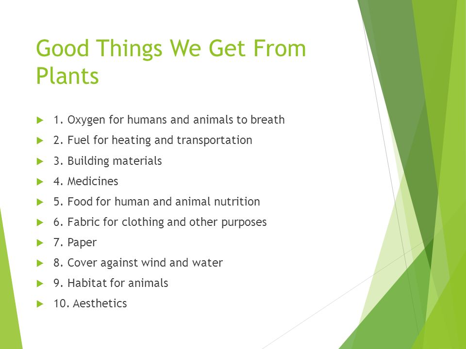 Good Things We Get From Plants - ppt video online download