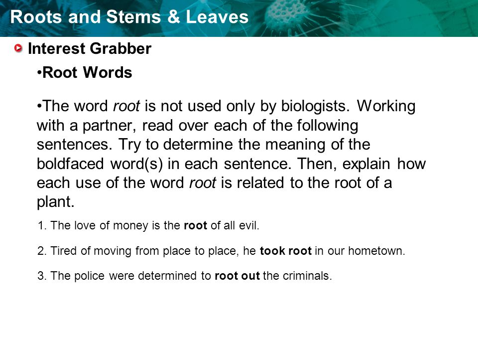 word-grabber word-grabber