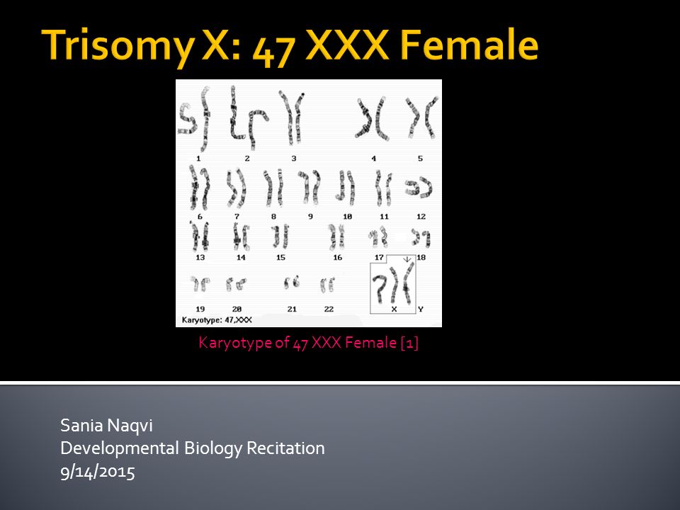 960px x 720px - Sania Naqvi Developmental Biology Recitation 9/14/ ppt video online download