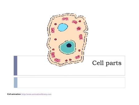 Cell parts Cell animation: http://www.animationlibrary.com.