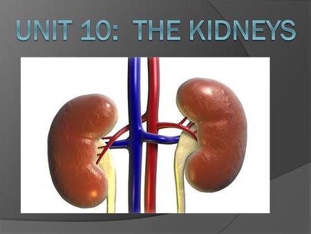 Unit 10: The Kidneys.