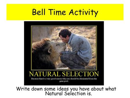 Write down some ideas you have about what Natural Selection is.