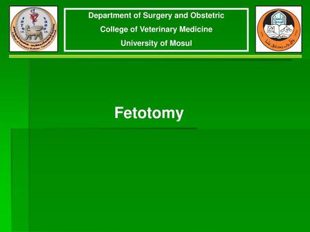 Department of Surgery and Obstetric College of Veterinary Medicine