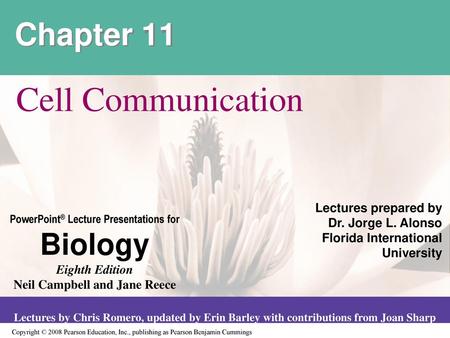 Cell Communication Chapter 11 Lectures prepared by Dr. Jorge L. Alonso
