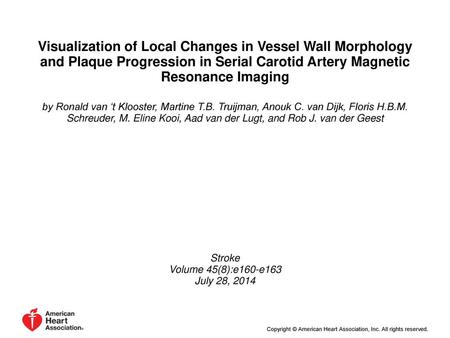 Visualization of Local Changes in Vessel Wall Morphology and Plaque Progression in Serial Carotid Artery Magnetic Resonance Imaging by Ronald van ‘t Klooster,