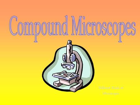 Different Kinds of Microscopes