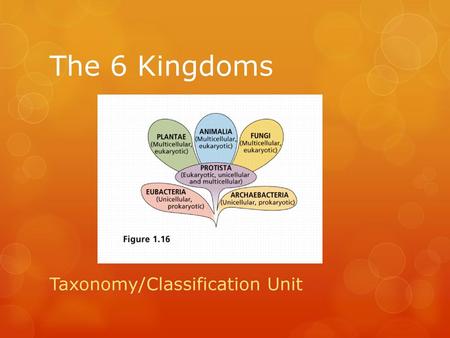 Taxonomy/Classification Unit