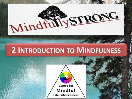 2 Introduction to Mindfulness