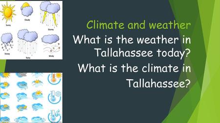 Climate and weather What is the weather in  Tallahassee today?