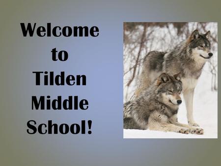 Welcome to Tilden Middle School!