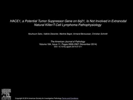 HACE1, a Potential Tumor Suppressor Gene on 6q21, Is Not Involved in Extranodal Natural Killer/T-Cell Lymphoma Pathophysiology  Nouhoum Sako, Valérie.