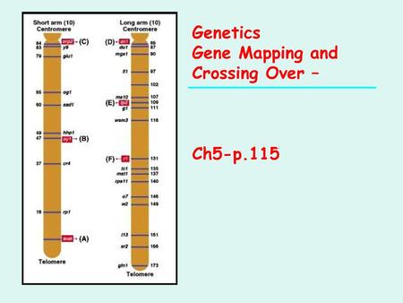Gene Mapping and Crossing Over –
