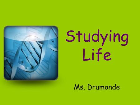 Studying Life Ms. Drumonde