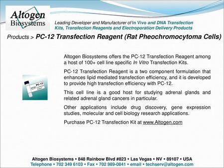 Products > PC-12 Transfection Reagent (Rat Pheochromocytoma Cells)